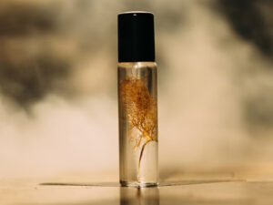 Parfum Le dernier homme