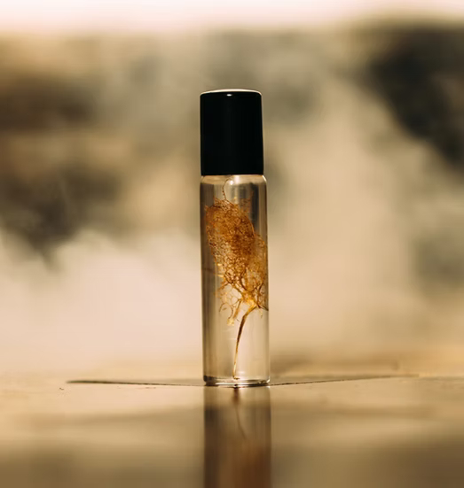 Parfum Le dernier homme